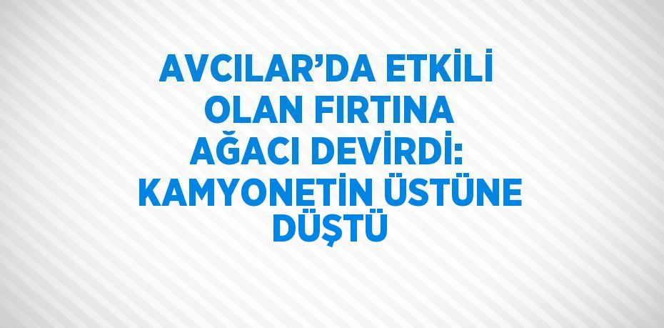 AVCILAR’DA ETKİLİ OLAN FIRTINA AĞACI DEVİRDİ: KAMYONETİN ÜSTÜNE DÜŞTÜ