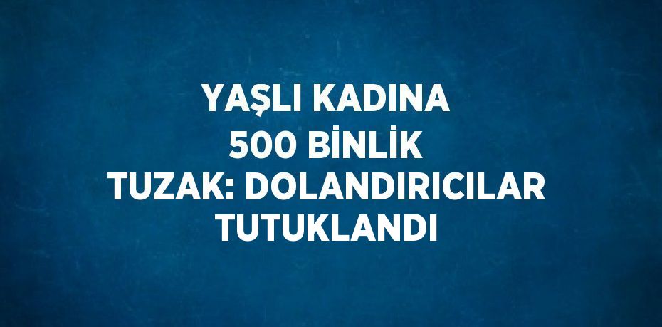 YAŞLI KADINA 500 BİNLİK TUZAK: DOLANDIRICILAR TUTUKLANDI