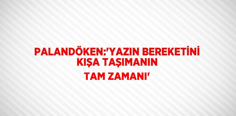 PALANDÖKEN:'YAZIN BEREKETİNİ KIŞA TAŞIMANIN TAM ZAMANI'