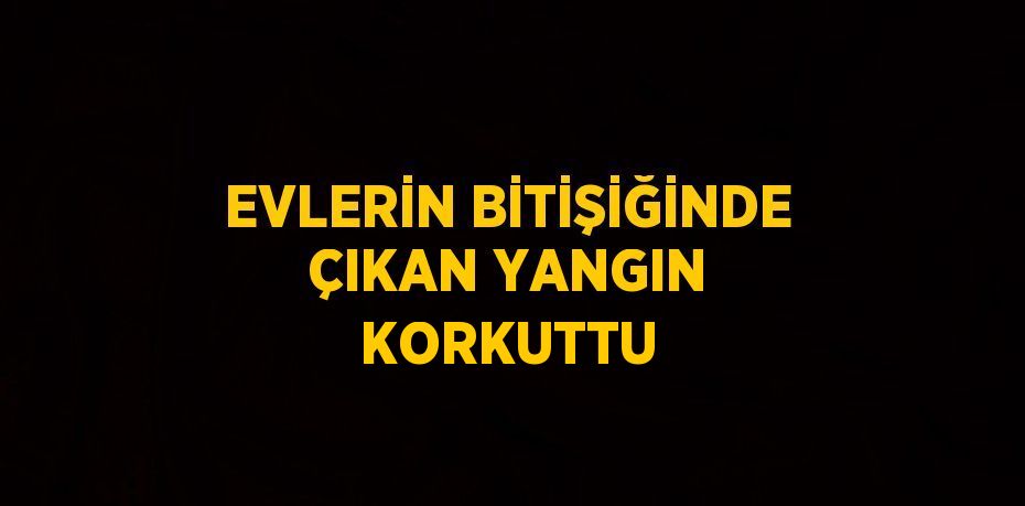 EVLERİN BİTİŞİĞİNDE ÇIKAN YANGIN KORKUTTU