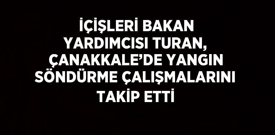 İÇİŞLERİ BAKAN YARDIMCISI TURAN, ÇANAKKALE’DE YANGIN SÖNDÜRME ÇALIŞMALARINI TAKİP ETTİ