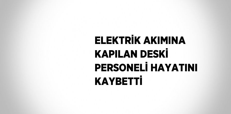 ELEKTRİK AKIMINA KAPILAN DESKİ PERSONELİ HAYATINI KAYBETTİ