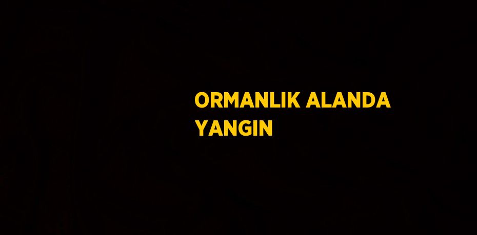ORMANLIK ALANDA YANGIN