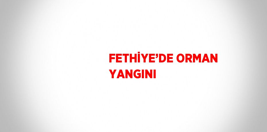 FETHİYE’DE ORMAN YANGINI