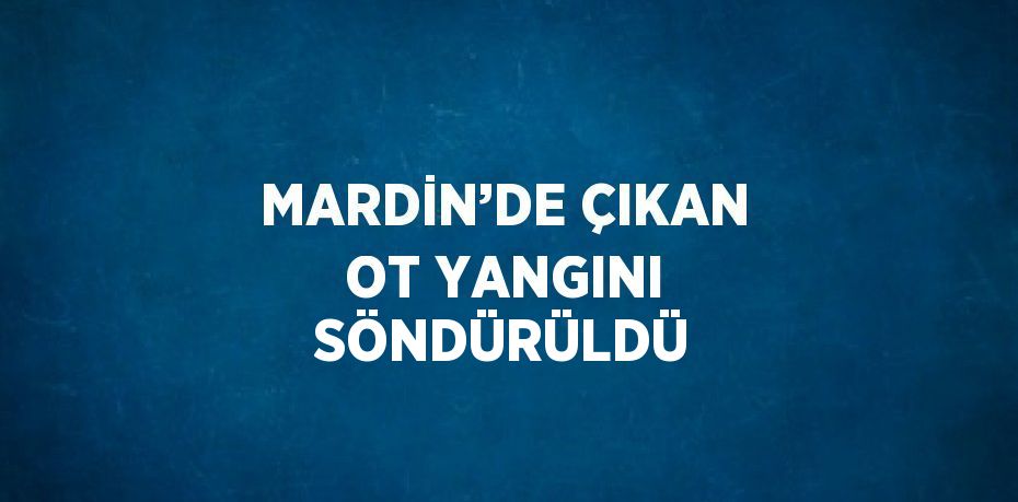 MARDİN’DE ÇIKAN OT YANGINI SÖNDÜRÜLDÜ