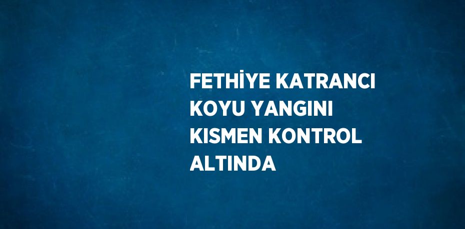 FETHİYE KATRANCI KOYU YANGINI KISMEN KONTROL ALTINDA