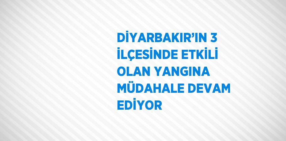 DİYARBAKIR’IN 3 İLÇESİNDE ETKİLİ OLAN YANGINA MÜDAHALE DEVAM EDİYOR