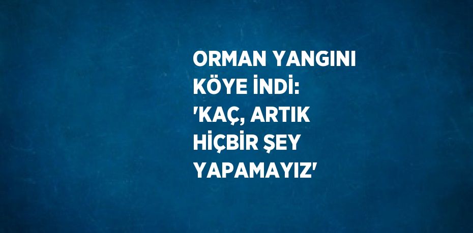 ORMAN YANGINI KÖYE İNDİ: 'KAÇ, ARTIK HİÇBİR ŞEY YAPAMAYIZ'