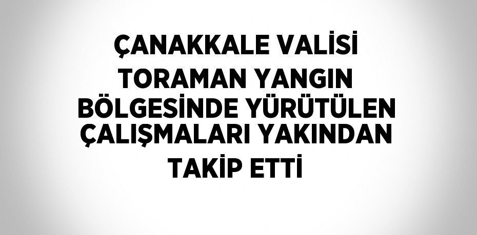 ÇANAKKALE VALİSİ TORAMAN YANGIN BÖLGESİNDE YÜRÜTÜLEN ÇALIŞMALARI YAKINDAN TAKİP ETTİ