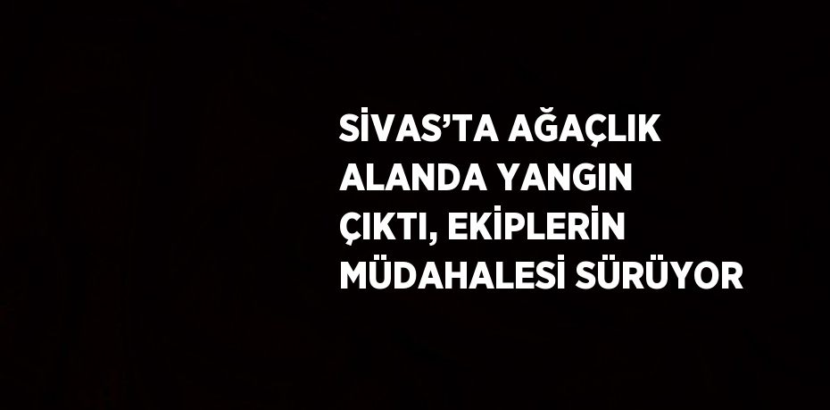 SİVAS’TA AĞAÇLIK ALANDA YANGIN ÇIKTI, EKİPLERİN MÜDAHALESİ SÜRÜYOR