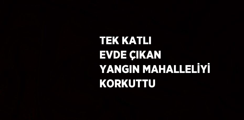 TEK KATLI EVDE ÇIKAN YANGIN MAHALLELİYİ KORKUTTU