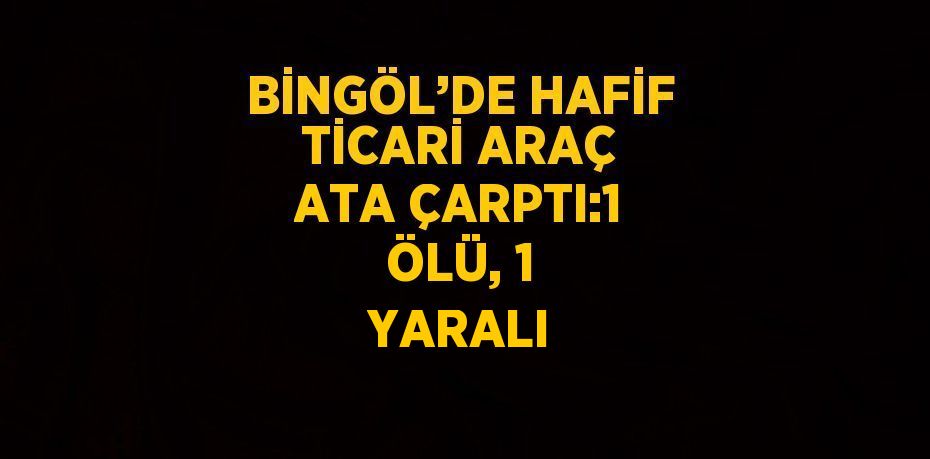 BİNGÖL’DE HAFİF TİCARİ ARAÇ ATA ÇARPTI:1 ÖLÜ, 1 YARALI