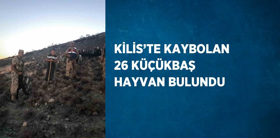 KİLİS’TE KAYBOLAN 26 KÜÇÜKBAŞ HAYVAN BULUNDU