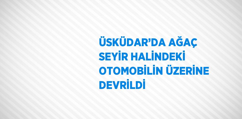 ÜSKÜDAR’DA AĞAÇ SEYİR HALİNDEKİ OTOMOBİLİN ÜZERİNE DEVRİLDİ