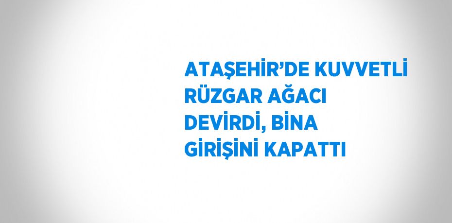 ATAŞEHİR’DE KUVVETLİ RÜZGAR AĞACI DEVİRDİ, BİNA GİRİŞİNİ KAPATTI