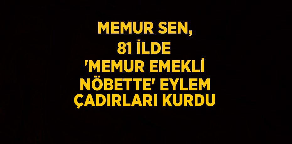 MEMUR SEN, 81 İLDE 'MEMUR EMEKLİ NÖBETTE' EYLEM ÇADIRLARI KURDU
