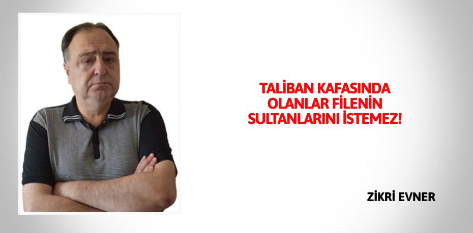 TALİBAN KAFASINDA OLANLAR FİLENİN SULTANLARINI İSTEMEZ!