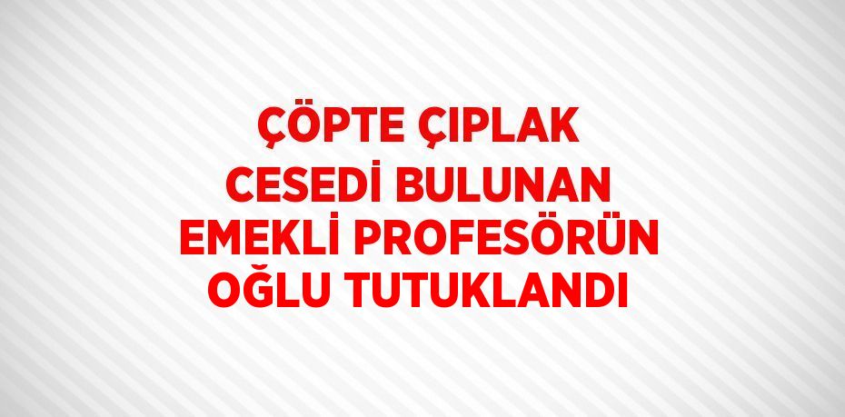 ÇÖPTE ÇIPLAK CESEDİ BULUNAN EMEKLİ PROFESÖRÜN OĞLU TUTUKLANDI