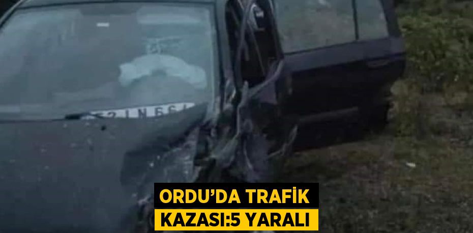 ORDU’DA TRAFİK KAZASI:5 YARALI