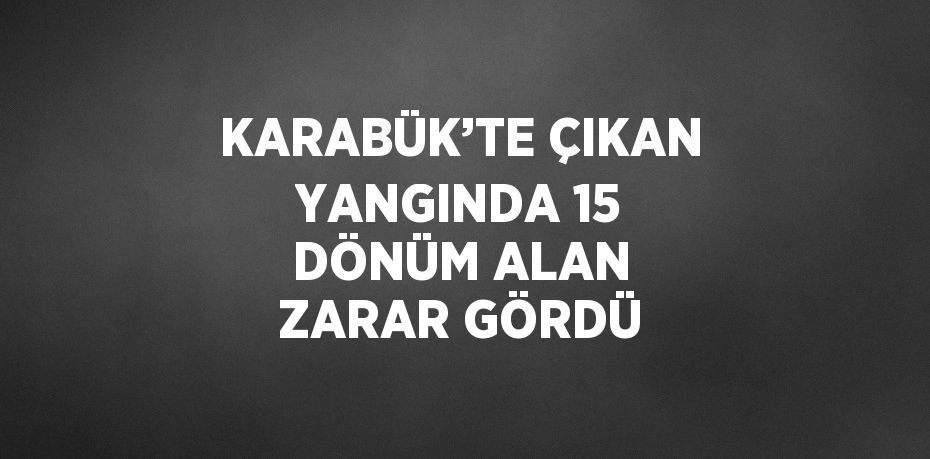 KARABÜK’TE ÇIKAN YANGINDA 15 DÖNÜM ALAN ZARAR GÖRDÜ