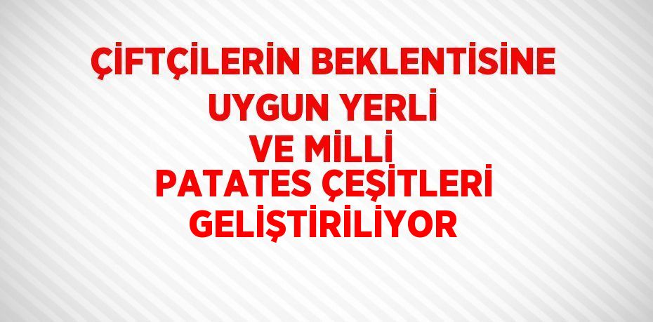 ÇİFTÇİLERİN BEKLENTİSİNE UYGUN YERLİ VE MİLLİ PATATES ÇEŞİTLERİ GELİŞTİRİLİYOR