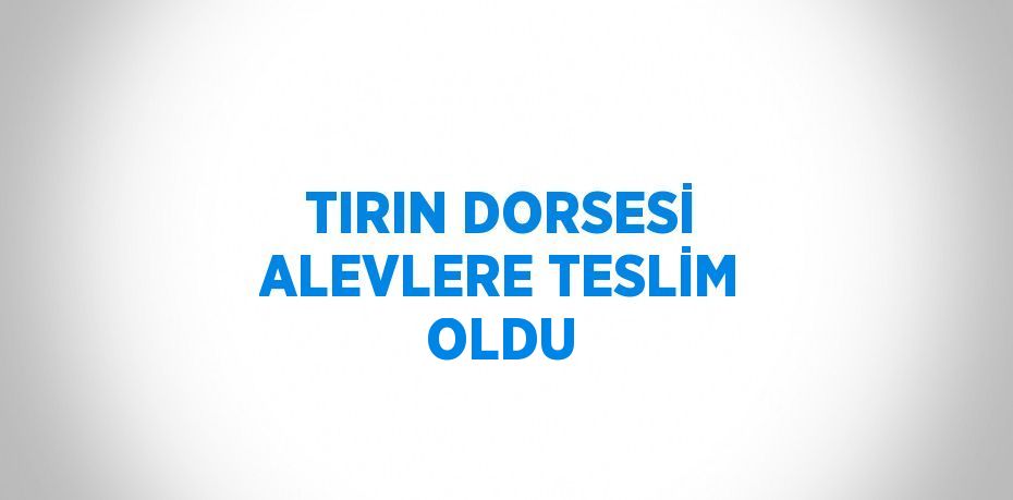 TIRIN DORSESİ ALEVLERE TESLİM OLDU