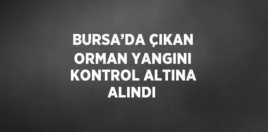 BURSA’DA ÇIKAN ORMAN YANGINI KONTROL ALTINA ALINDI