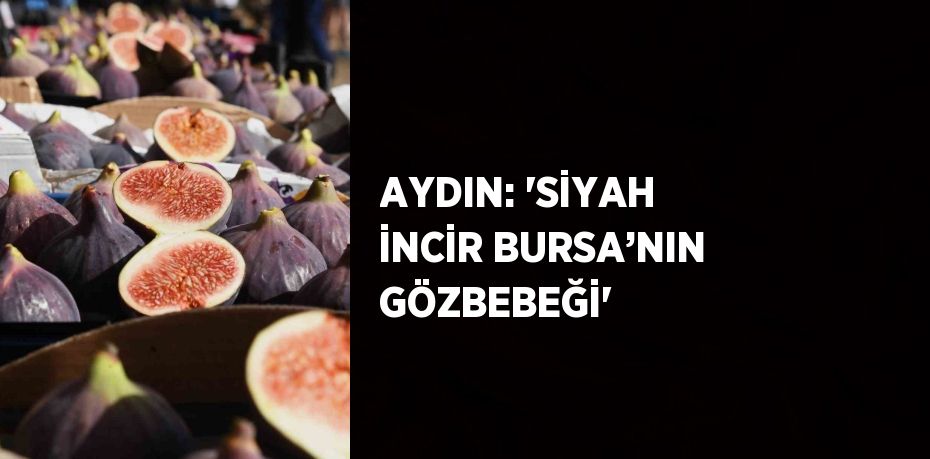 AYDIN: 'SİYAH İNCİR BURSA’NIN GÖZBEBEĞİ'