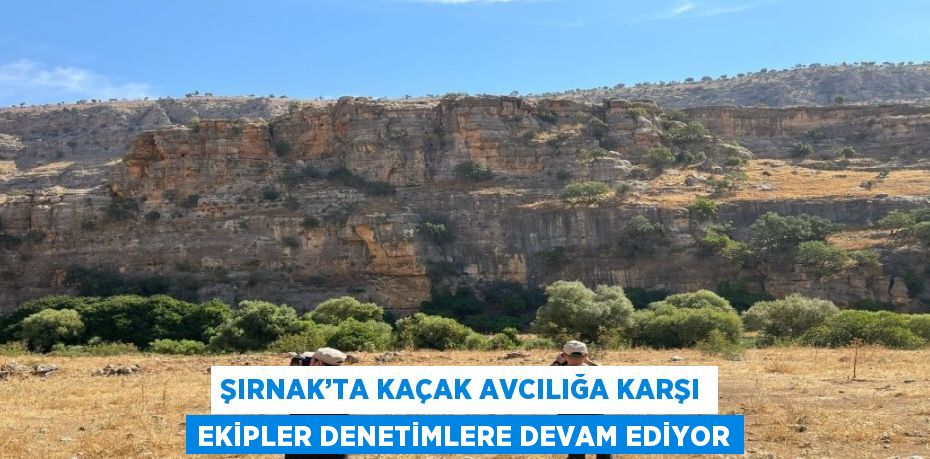 ŞIRNAK’TA KAÇAK AVCILIĞA KARŞI EKİPLER DENETİMLERE DEVAM EDİYOR