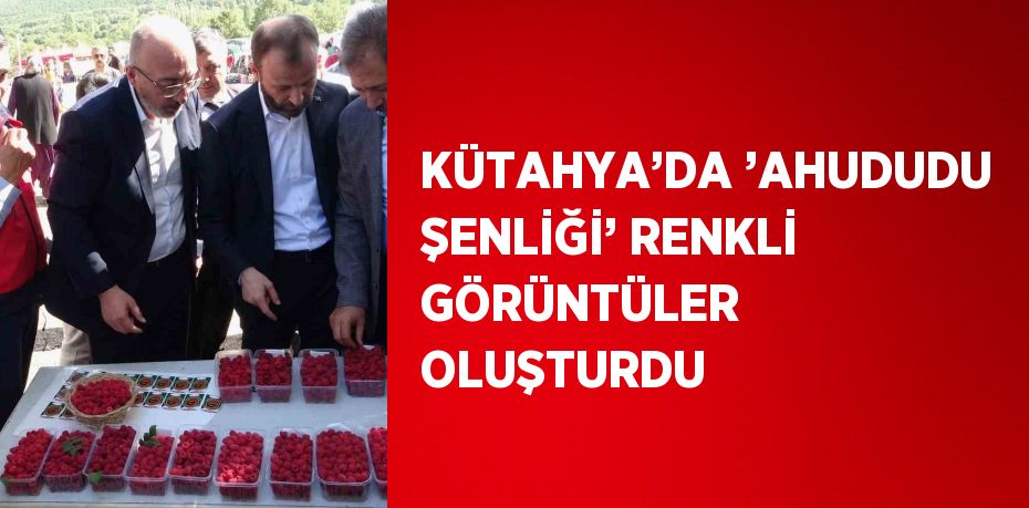 KÜTAHYA’DA ’AHUDUDU ŞENLİĞİ’ RENKLİ GÖRÜNTÜLER OLUŞTURDU