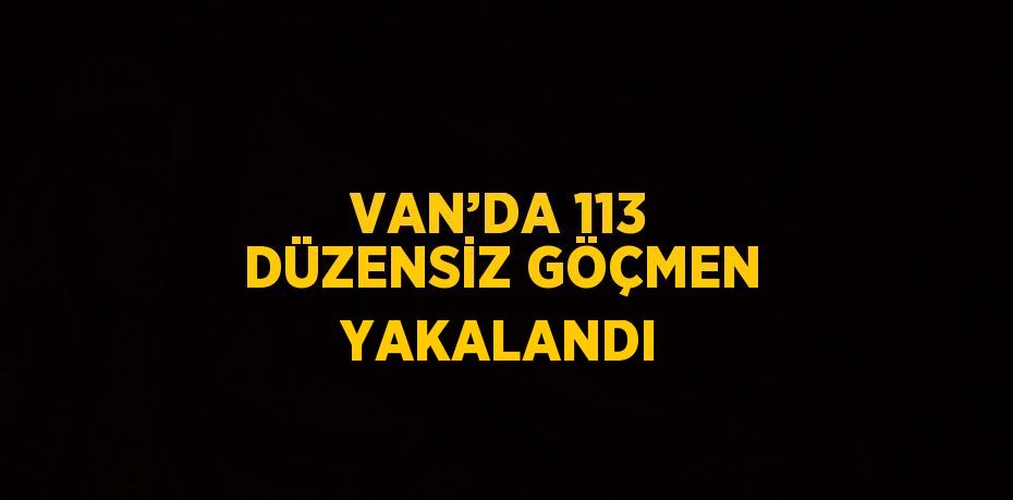 VAN’DA 113 DÜZENSİZ GÖÇMEN YAKALANDI