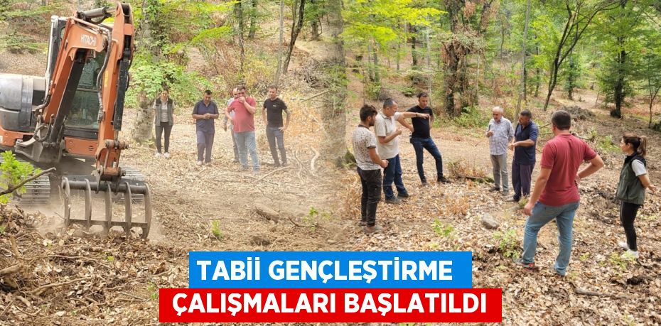 TABİİ GENÇLEŞTİRME   ÇALIŞMALARI BAŞLATILDI