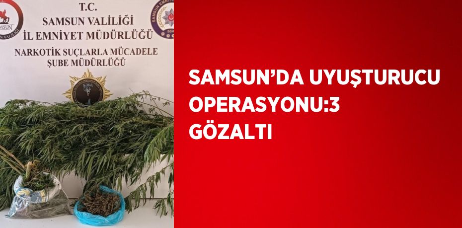 SAMSUN’DA UYUŞTURUCU OPERASYONU:3 GÖZALTI