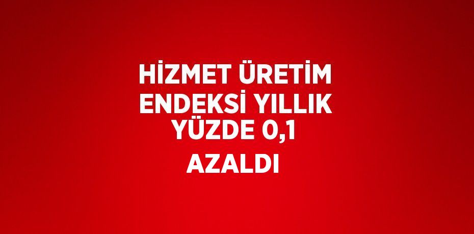 HİZMET ÜRETİM ENDEKSİ YILLIK YÜZDE 0,1 AZALDI