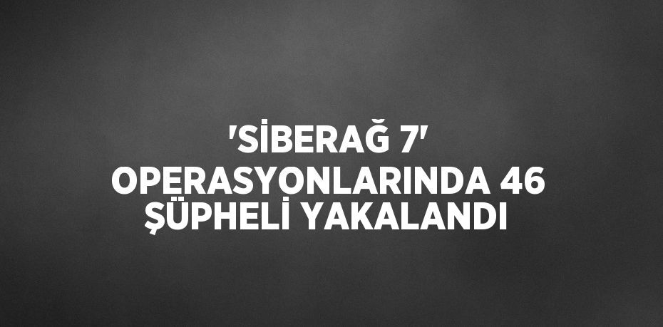 'SİBERAĞ 7' OPERASYONLARINDA 46 ŞÜPHELİ YAKALANDI