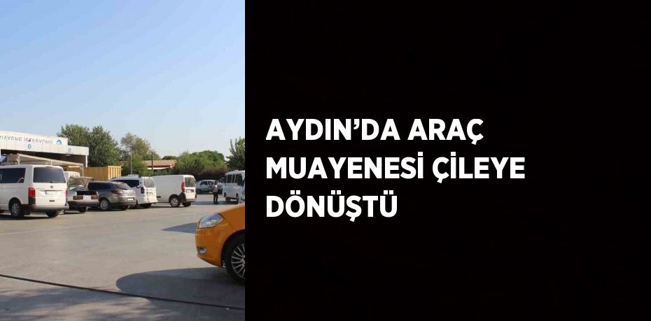 AYDIN’DA ARAÇ MUAYENESİ ÇİLEYE DÖNÜŞTÜ