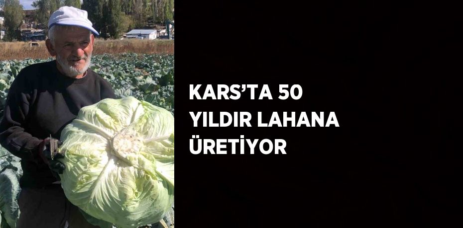 KARS’TA 50 YILDIR LAHANA ÜRETİYOR