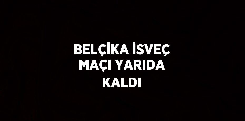 BELÇİKA İSVEÇ MAÇI YARIDA KALDI