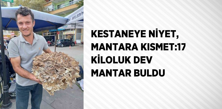 KESTANEYE NİYET, MANTARA KISMET:17 KİLOLUK DEV MANTAR BULDU