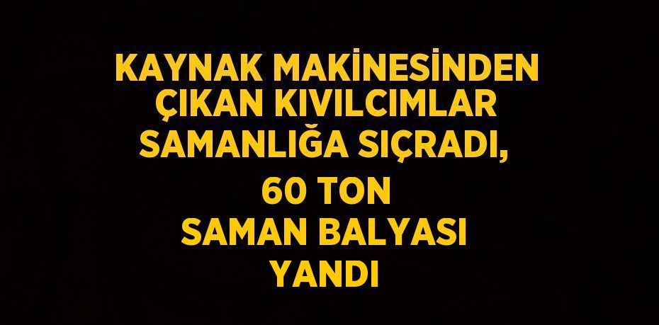 KAYNAK MAKİNESİNDEN ÇIKAN KIVILCIMLAR SAMANLIĞA SIÇRADI, 60 TON SAMAN BALYASI YANDI