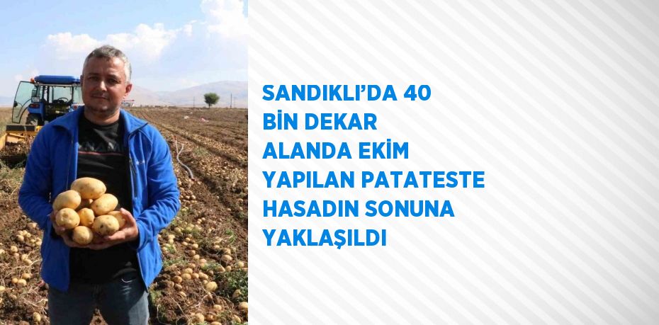 SANDIKLI’DA 40 BİN DEKAR ALANDA EKİM YAPILAN PATATESTE HASADIN SONUNA YAKLAŞILDI