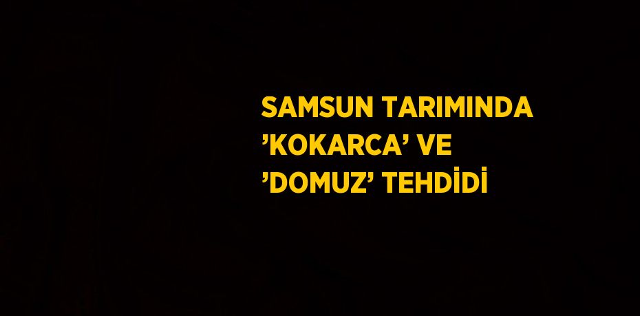 SAMSUN TARIMINDA ’KOKARCA’ VE ’DOMUZ’ TEHDİDİ