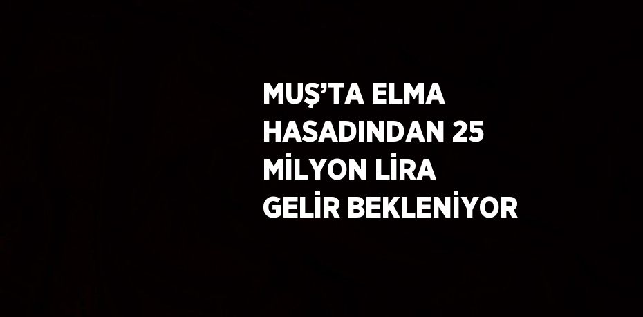 MUŞ’TA ELMA HASADINDAN 25 MİLYON LİRA GELİR BEKLENİYOR