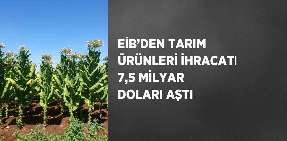 EİB’DEN TARIM ÜRÜNLERİ İHRACATI 7,5 MİLYAR DOLARI AŞTI