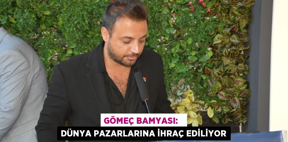 GÖMEÇ BAMYASI:   DÜNYA PAZARLARINA İHRAÇ EDİLİYOR