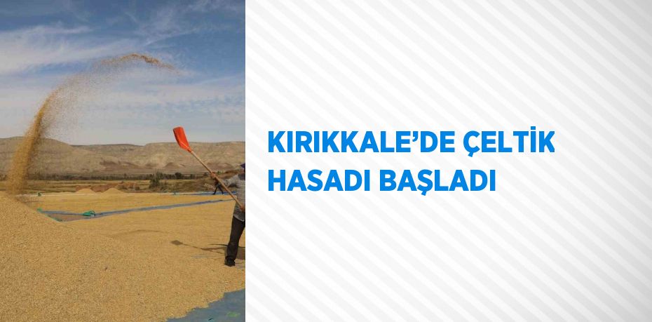 KIRIKKALE’DE ÇELTİK HASADI BAŞLADI