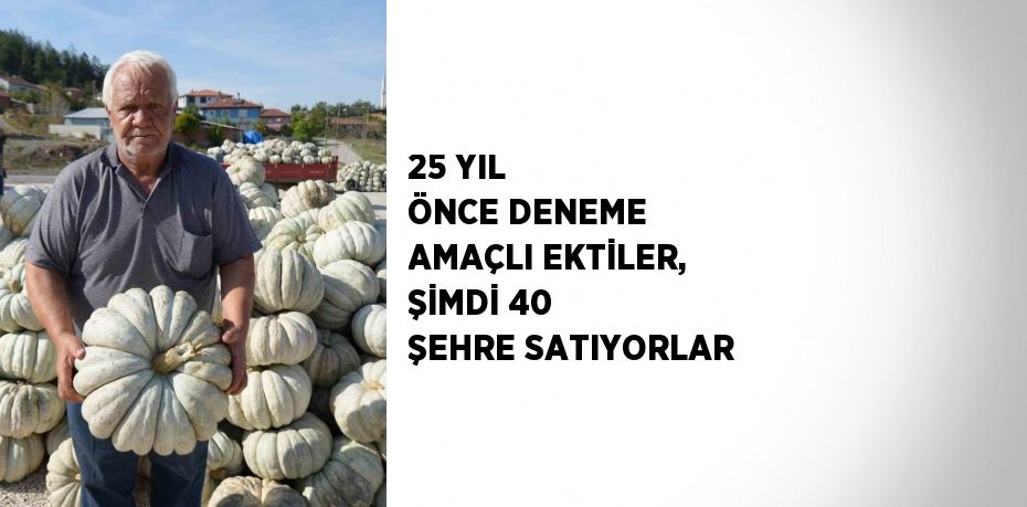 25 YIL ÖNCE DENEME AMAÇLI EKTİLER, ŞİMDİ 40 ŞEHRE SATIYORLAR