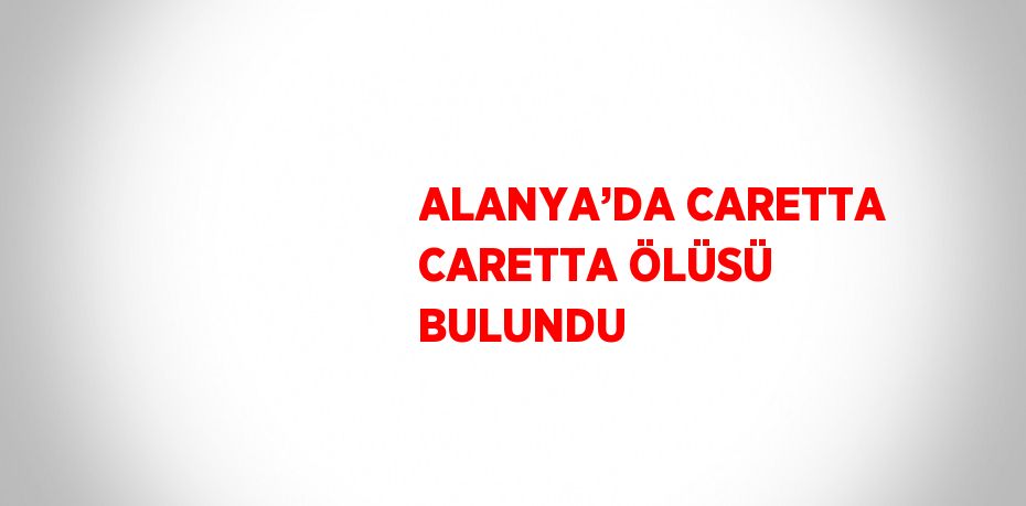 ALANYA’DA CARETTA CARETTA ÖLÜSÜ BULUNDU