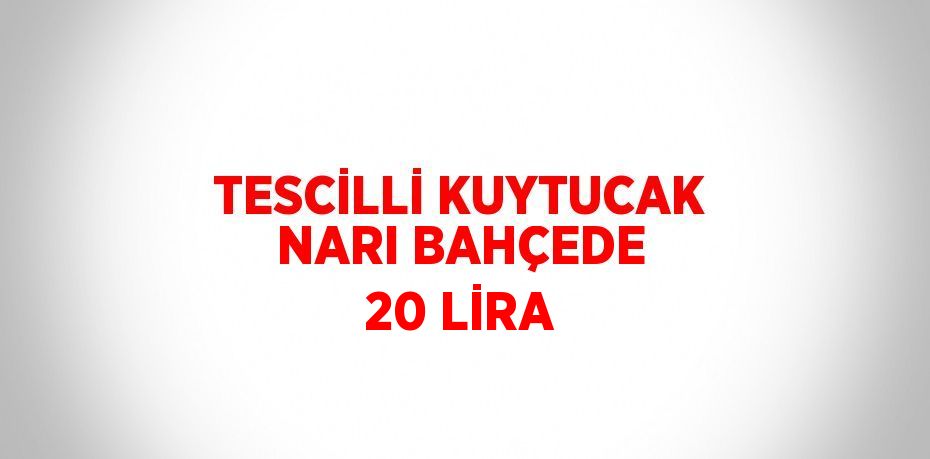 TESCİLLİ KUYTUCAK NARI BAHÇEDE 20 LİRA