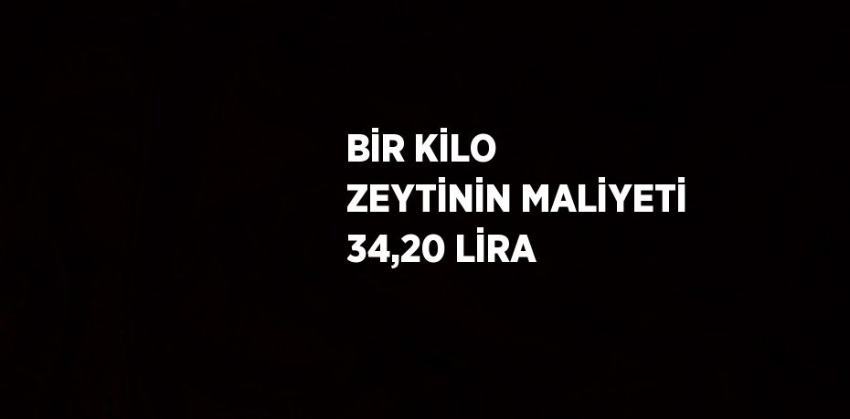 BİR KİLO ZEYTİNİN MALİYETİ 34,20 LİRA